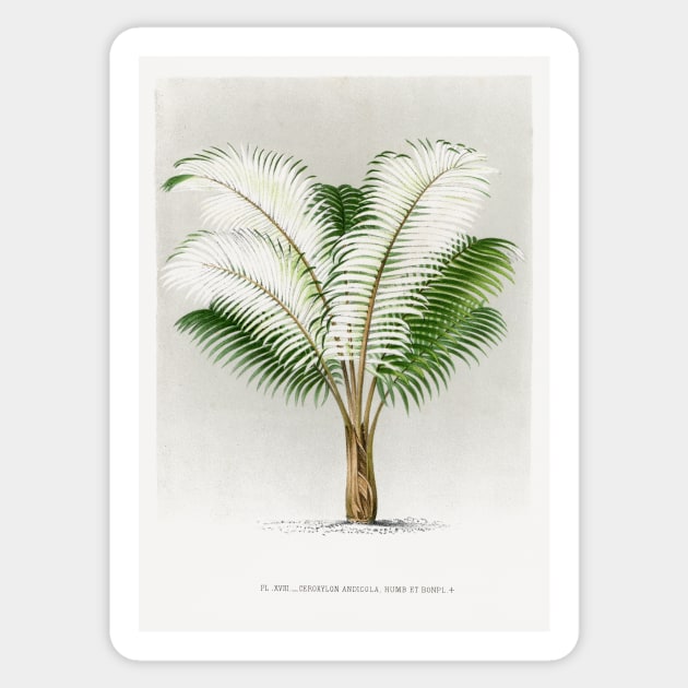 Andean wax palm vintage botanical art Sticker by Veiovis